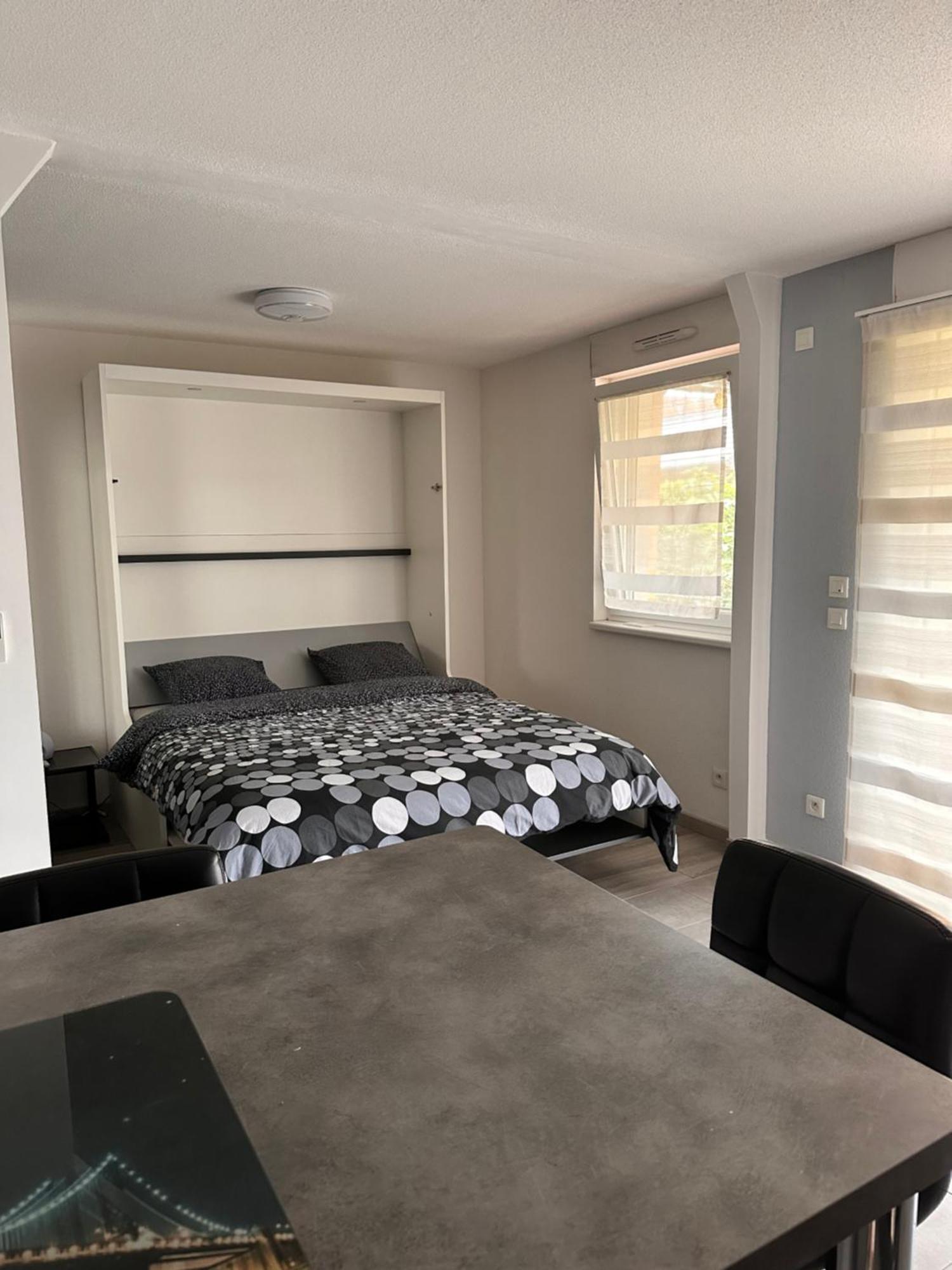 Studio Chic Et Calme Holtzwihr Exterior photo